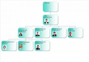 Organization Chart